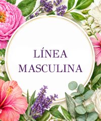 L&iacute;nea Masculina